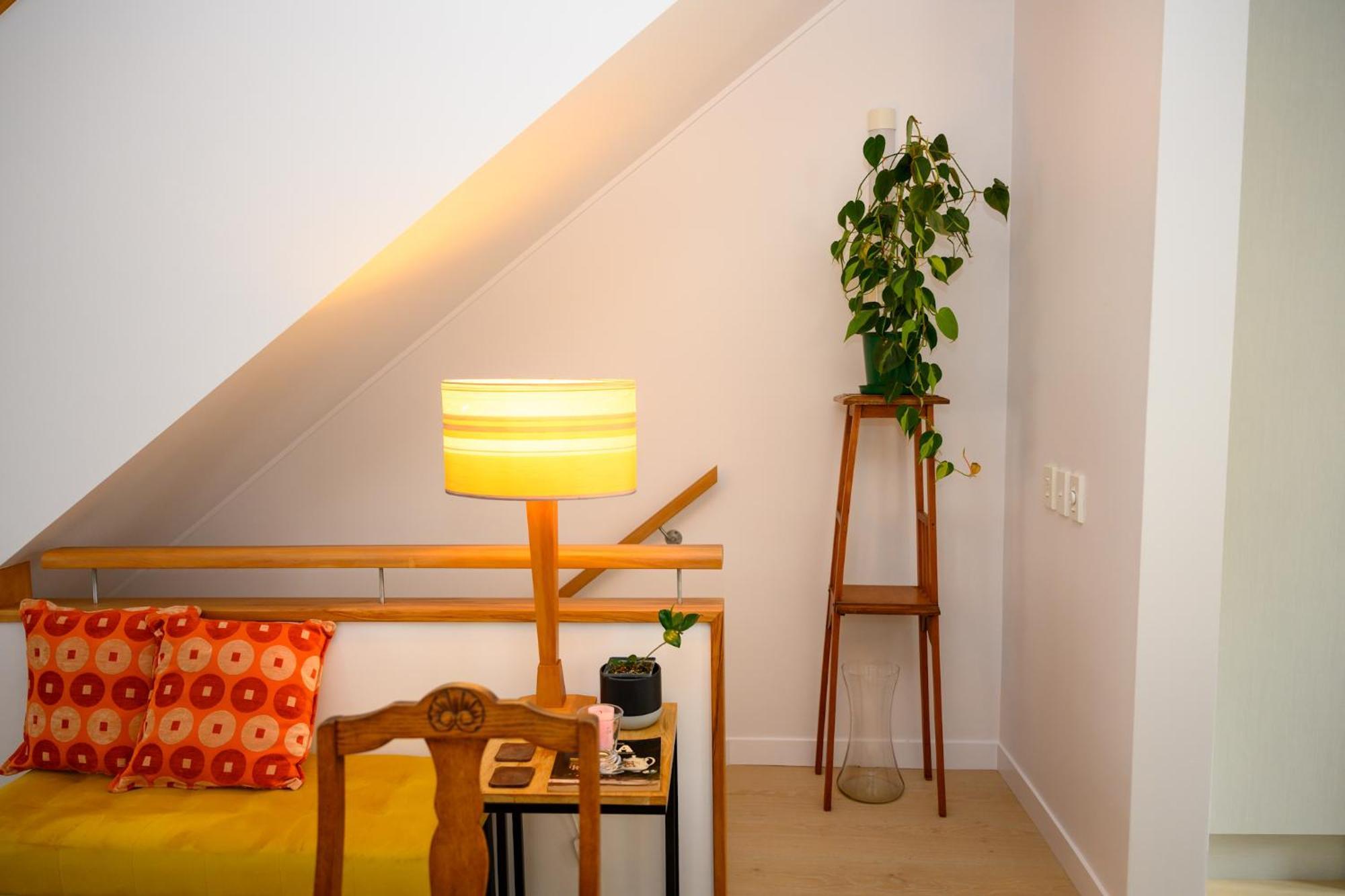 Omahanui - City Fringe Guesthouse Auckland Dış mekan fotoğraf